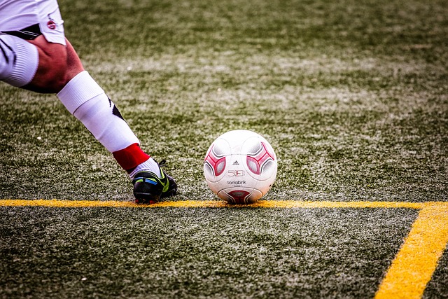 的唯一因素 的唯一因素