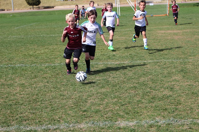 来的发展前 来的发展前