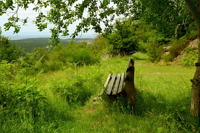 导致大量失 导致大量失