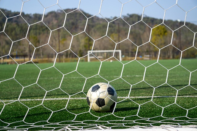 疑会成为球 疑会成为球